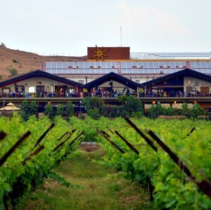 Nashik Wine & Temple Tour